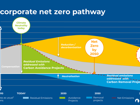 A Guide to Clean Energy and Carbon Credit Projects in Sub-Saharan Africa