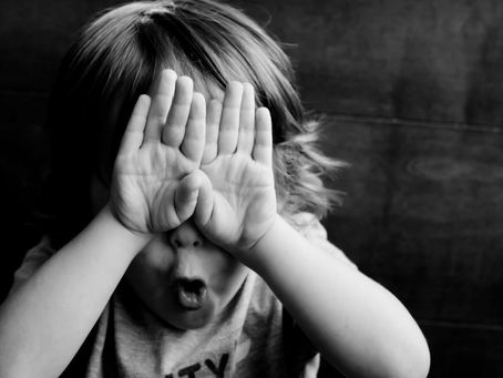 The Importance of Carbon Offsets for Sale in Fighting Climate Change