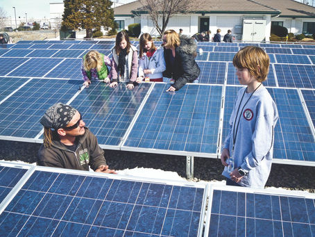 The Role of Carbon Offset Developers in Climate Action