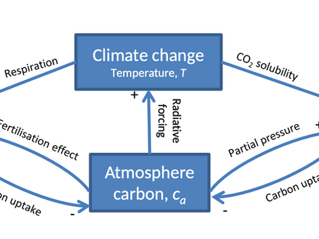 The Process of Carbon Credits Development