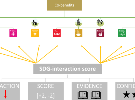 Carbon as an Asset Class: Investing in Carbon Credits