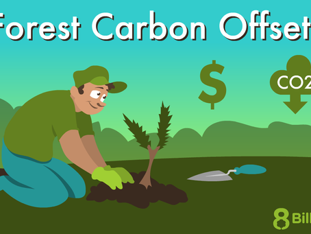 Net Zero Events: How to Host a Sustainable Gathering