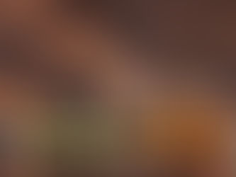 Exploring the Primary Markets for Carbon Credits