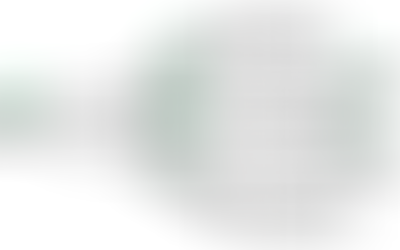 How Carbon Credit Developers Contribute to Climate Change Mitigation