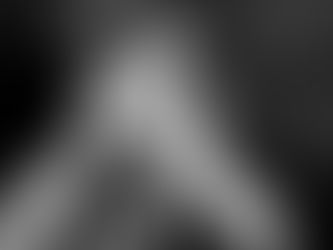 Verra VCS vs. Gold Standard: Choosing the Right Carbon Offset Standard