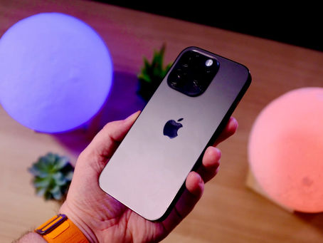 Pros and Cons of Verra VCS and Gold Standard