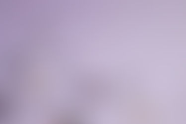 Verra VCS vs. Gold Standard: Comparing Carbon Credit Standards