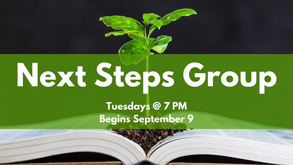 Next Steps Group (in person and online)