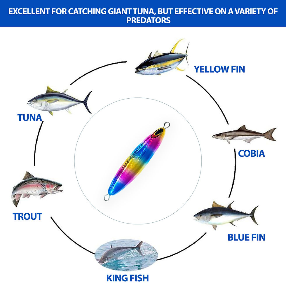 Thumbnail: Eddie Bomb Heavy BFT Jigs for Bluefin Tuna , Rasta,16/20oz Unrigged Pack of 2