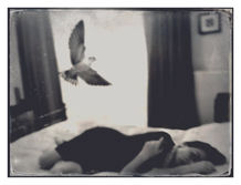 Ana Priscila Rodriguez