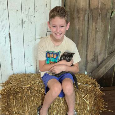 Boy with kitten on straw bale