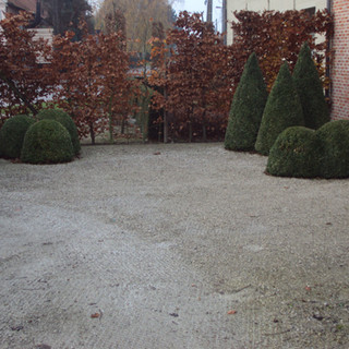 tuin 250.JPG