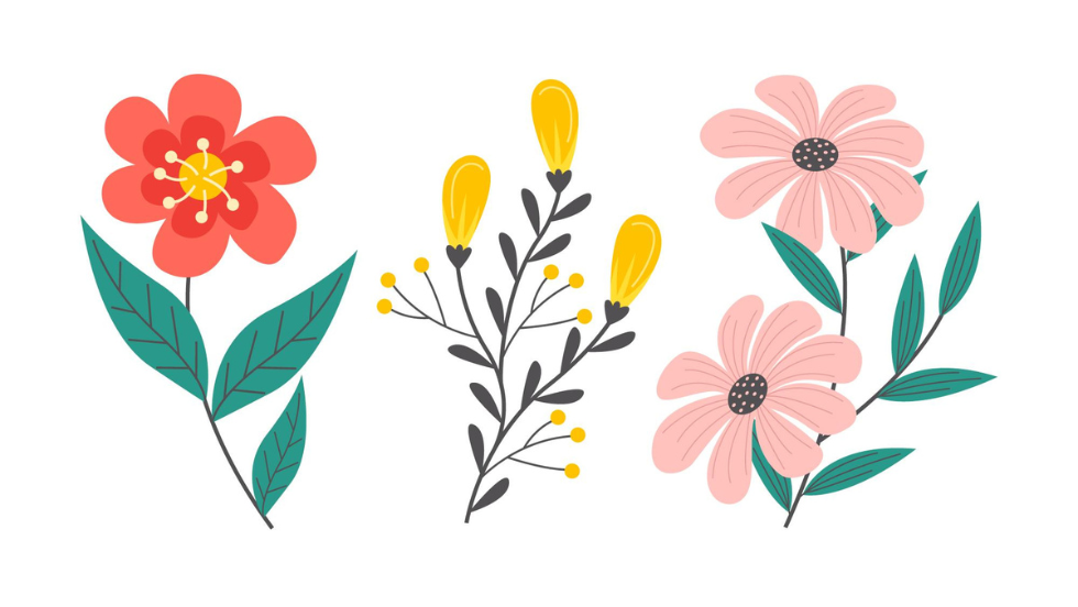 Atelier grainothèque