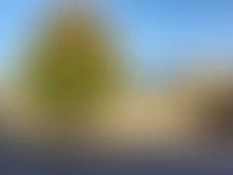 Noms des bâtiments de l'école publique Paul Gauguin : la proposition d'une maman réunit les suffrages !