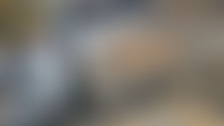 Le nouveau clocheton de l'Hôtel de Ville est arrivé