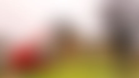 Début des travaux de démontage du clocher de la Madeleine