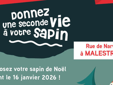 Opération "Sapin de Noël : zéro déchet !"