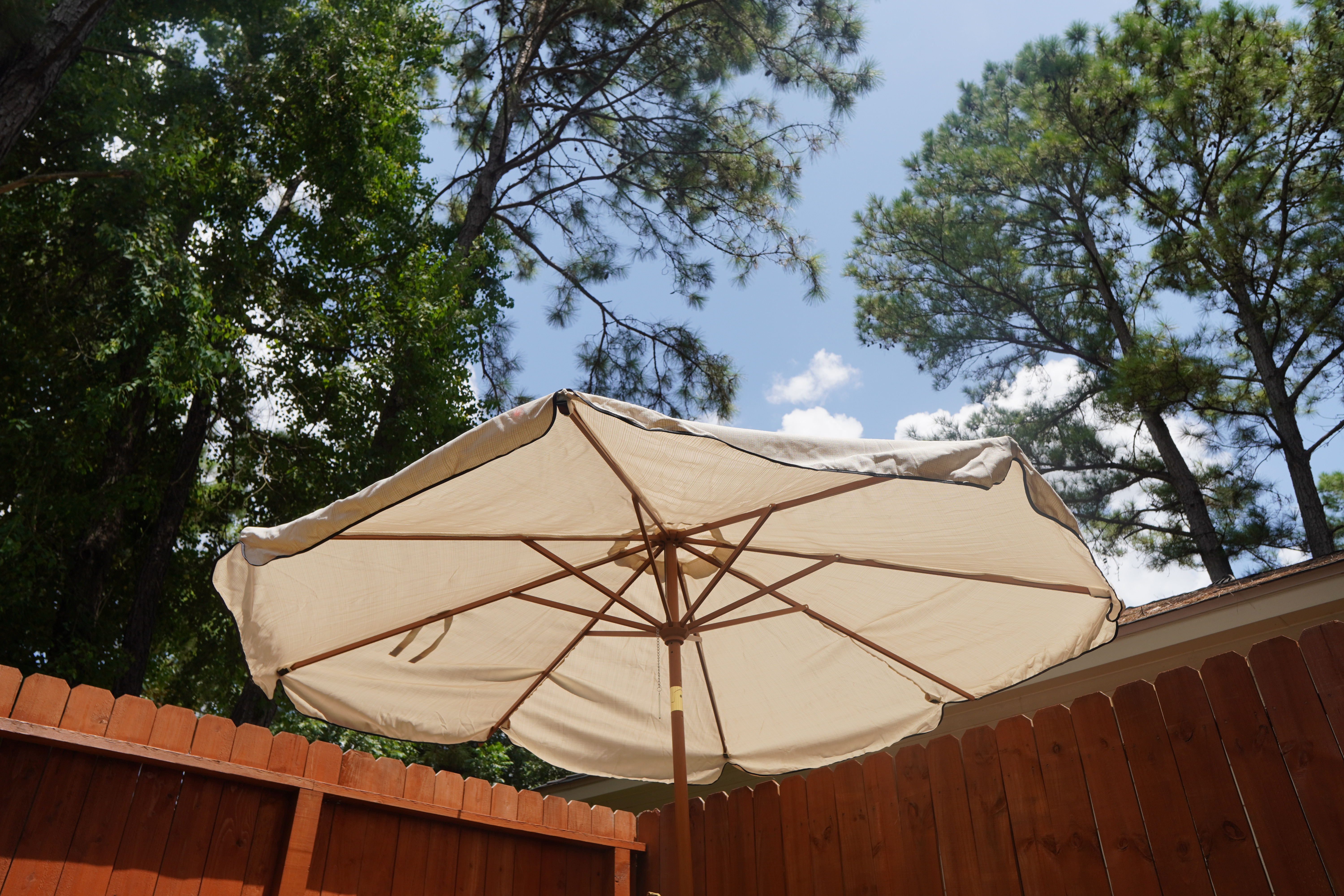 Umbrella
