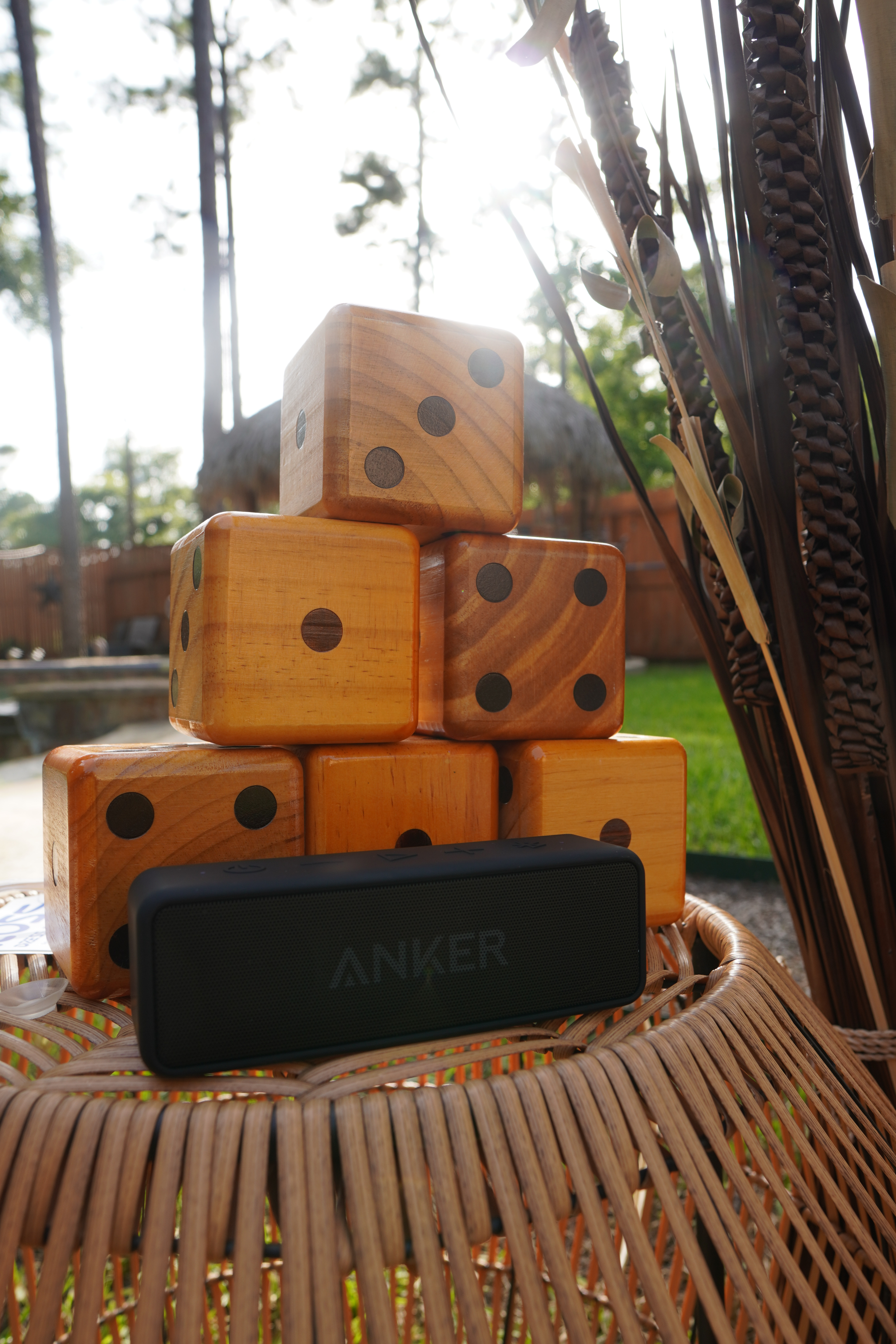 Giant Yard Dice
