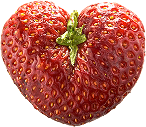 fragola nb studio.png