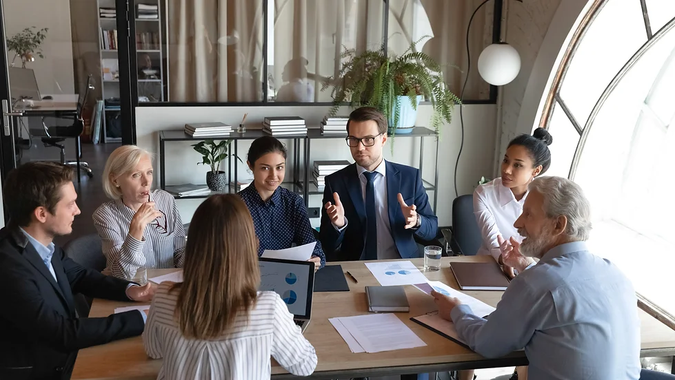 Årsmøte SAO 2023 - kun for medlemmer i SAO - Online Videomøte