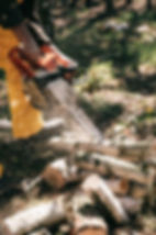 pexels-photo-4205989.jpeg