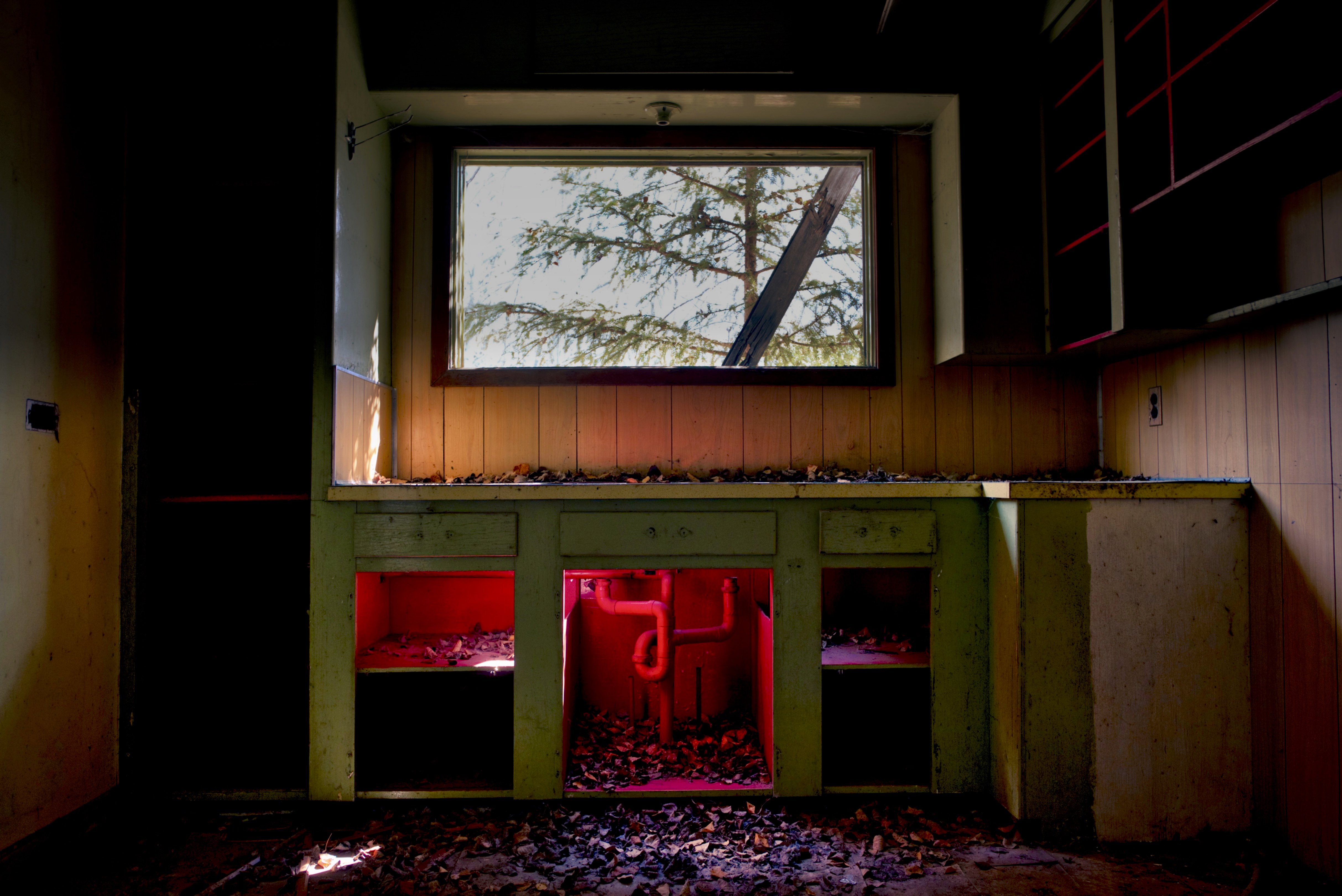 The Kitchen
