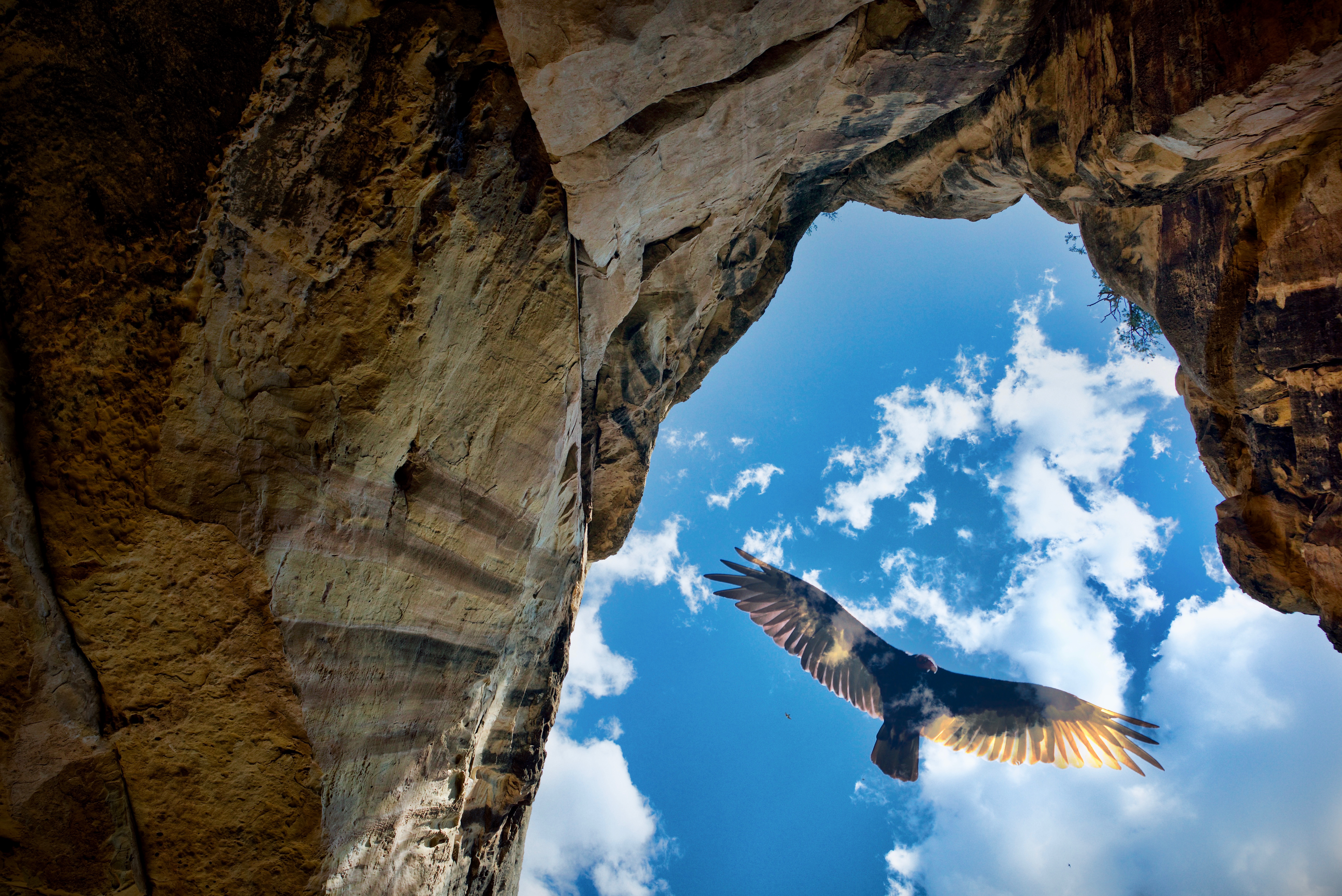 Above the Rock