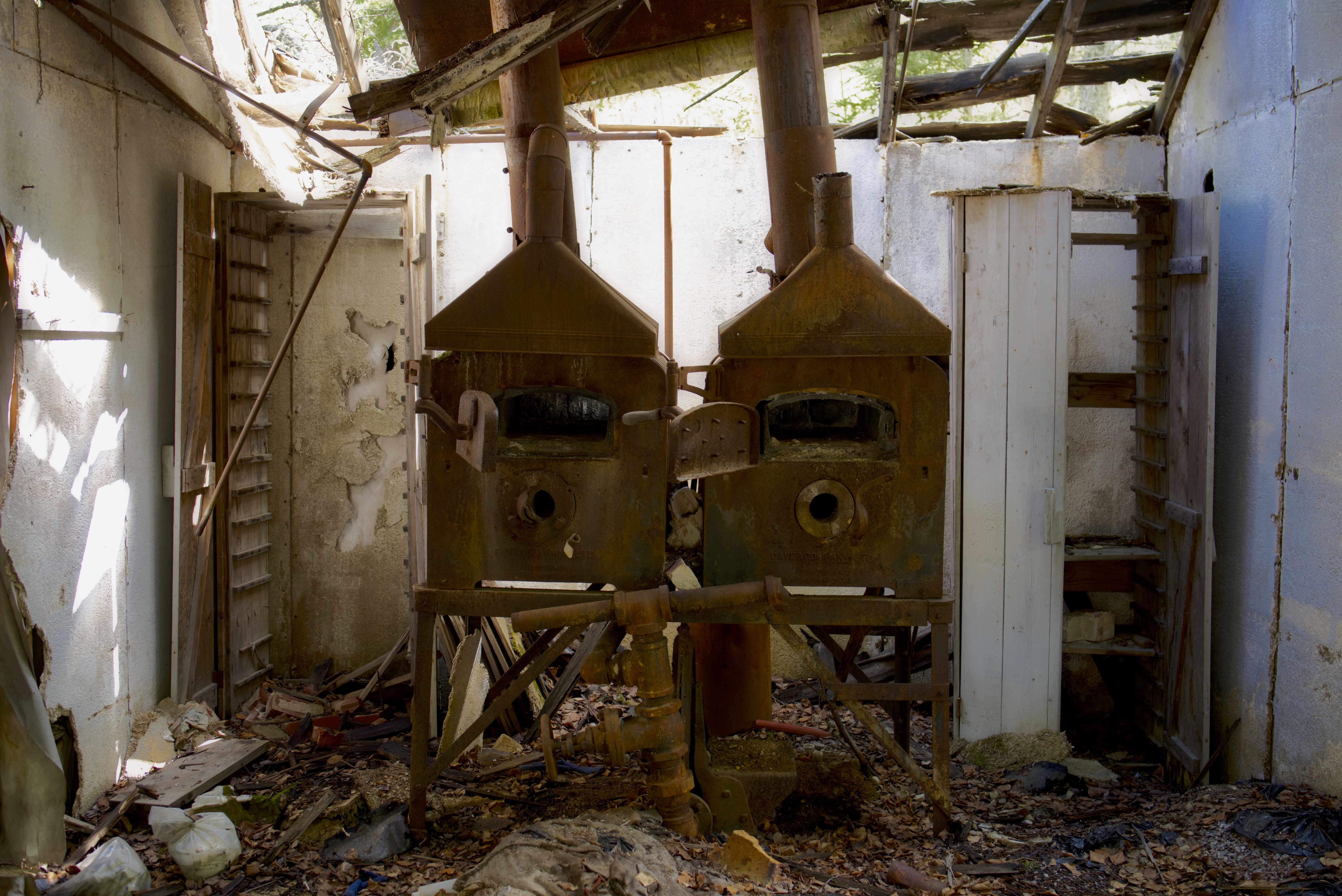 Goldfields