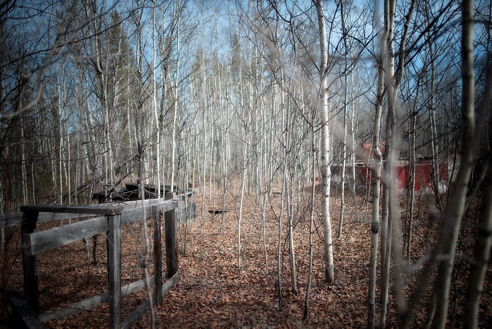 abandoned farmhouse, alberta