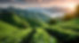 image0 (7).jpeg