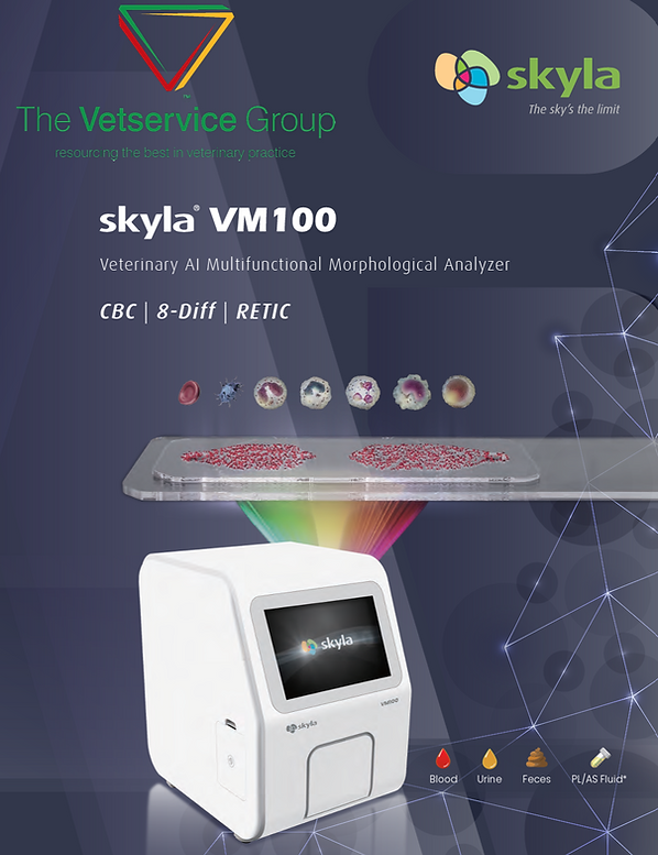 Screenshot 2025-08-11 155107.png