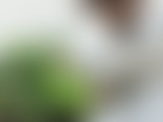 할머니를 도와드렸어요!