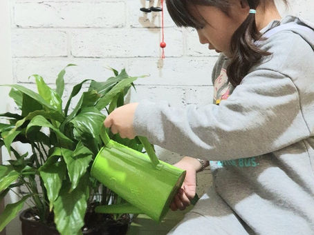 할머니를 도와드렸어요!