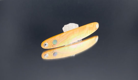 Citrin Mimic Pointer - 81mm - 1 Onyx Auge