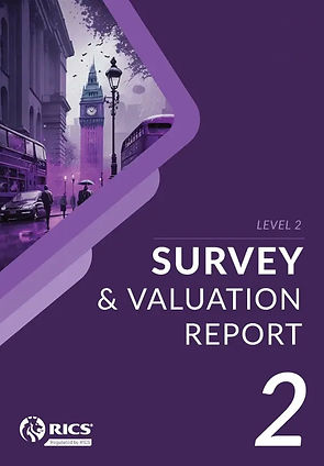RICS Level 2 Home Survey