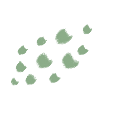 image2 (2).png