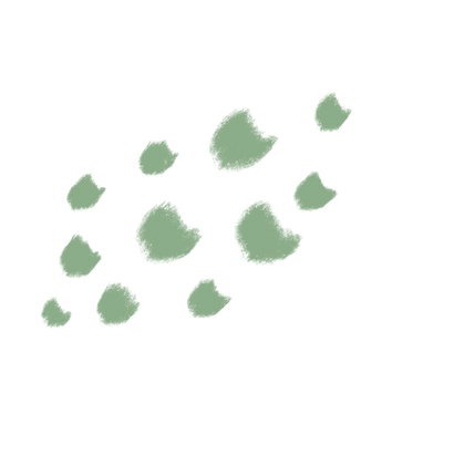 image2 (2).png