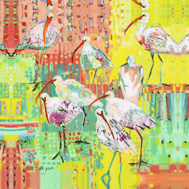 Ibis