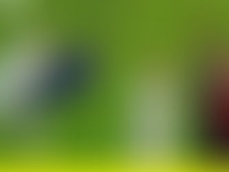Wie wird man Zinédine Zidane?