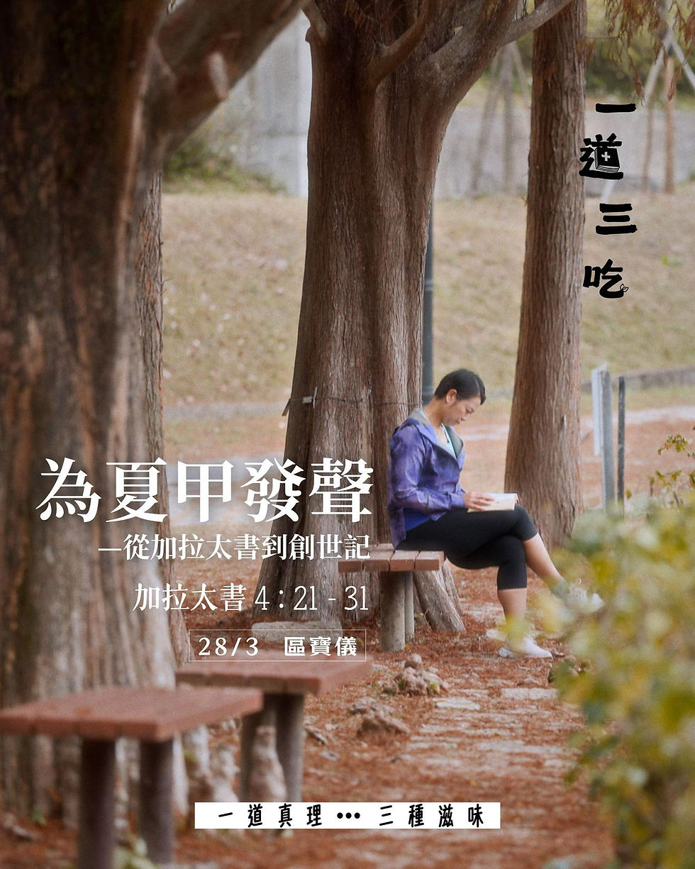 為夏甲發聲 — 從加拉太書到創世記