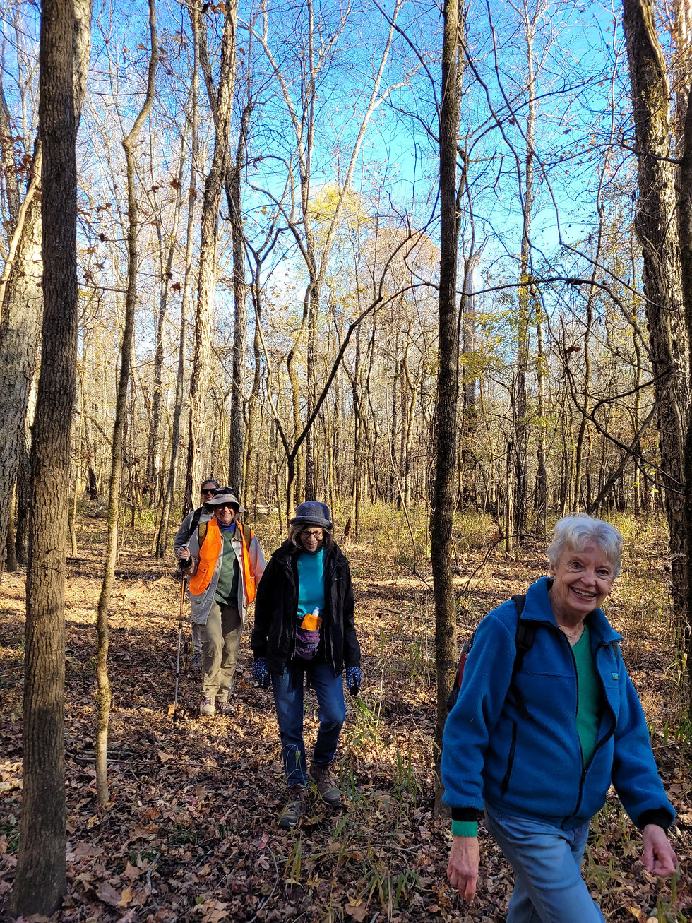 Tallassee Forest Monitor Hike 11/12/22