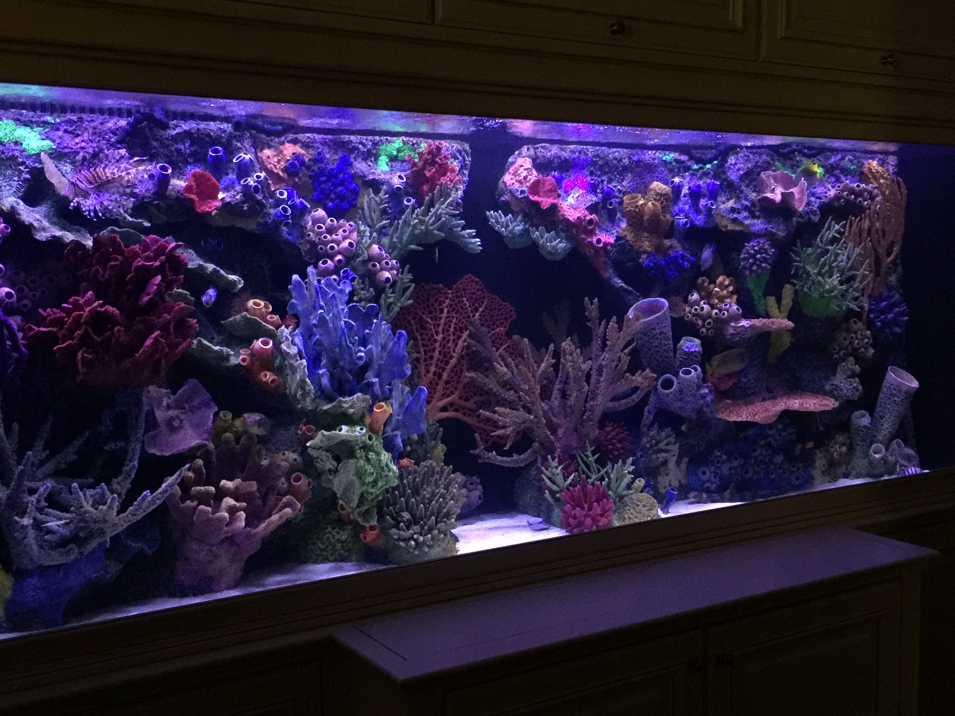 Artificial Coral Reef Insert Ontario Ca West Coast Creations Inc