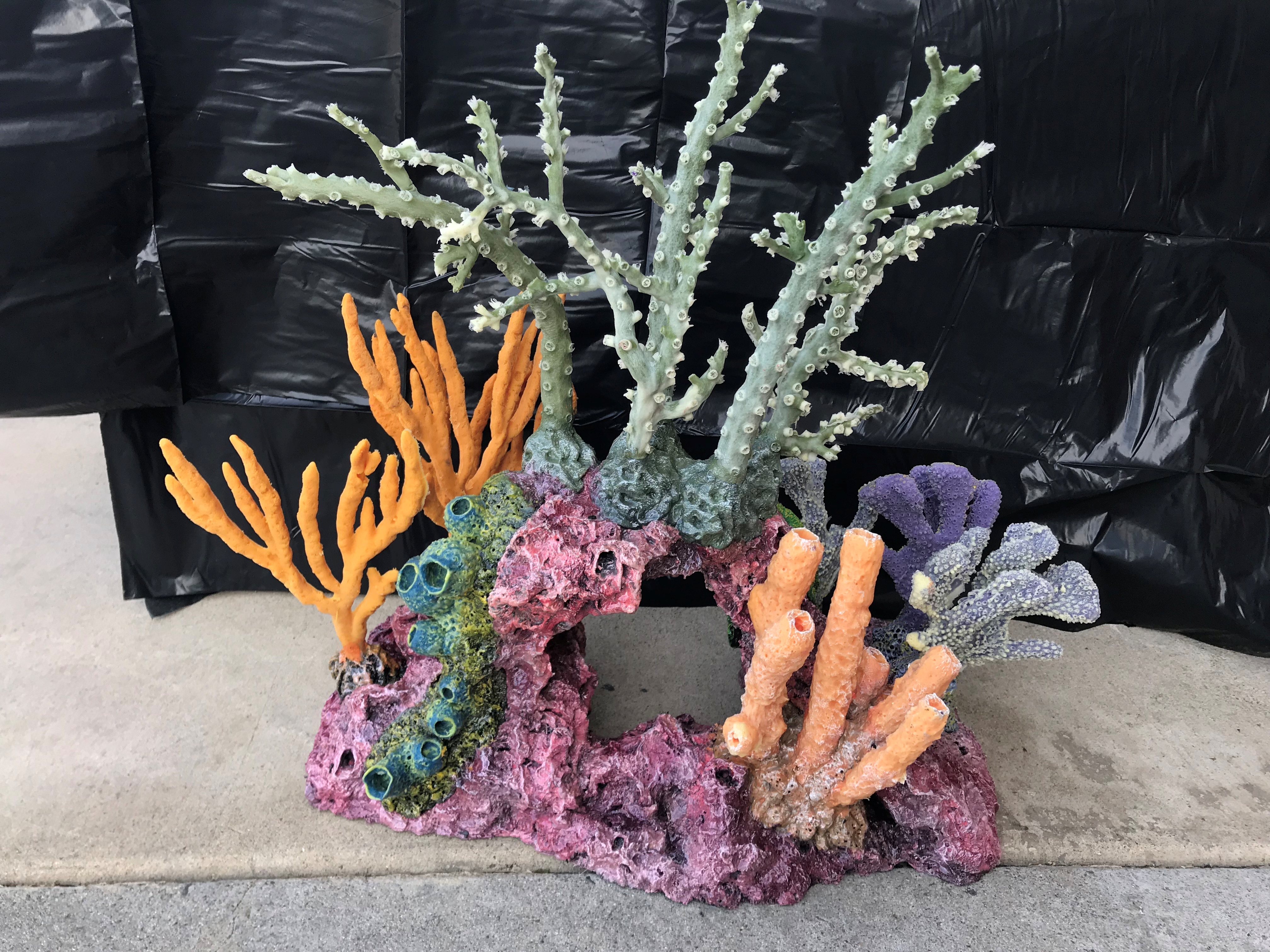 Artificial Coral Reef Insert Ontario Ca West Coast Creations Inc