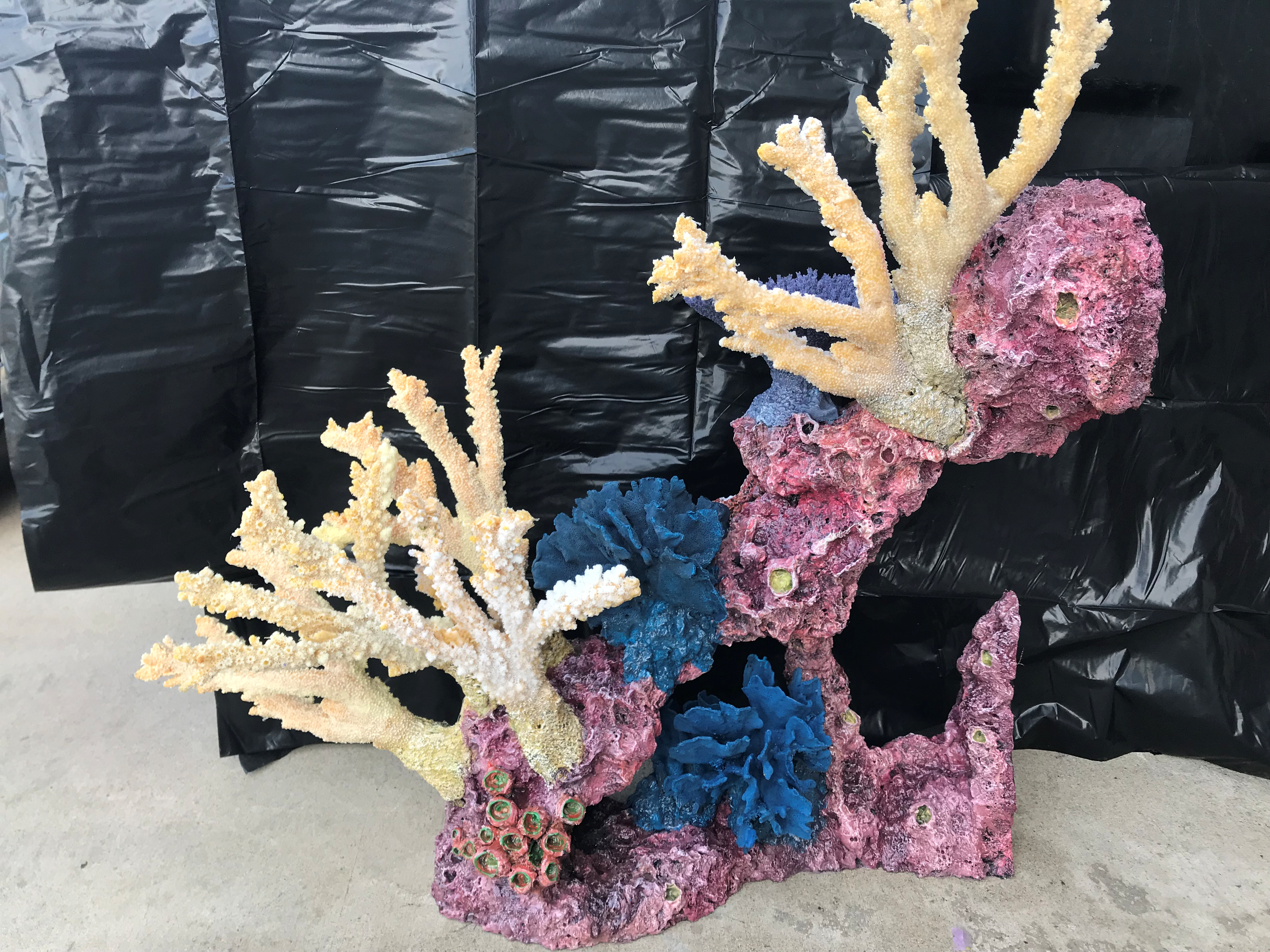 Artificial Coral Reef Insert Ontario Ca West Coast Creations Inc
