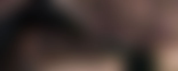 הדרקון הראשון שלי