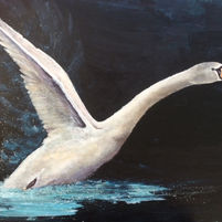 Take Flight Lorna Hun ter.jpg