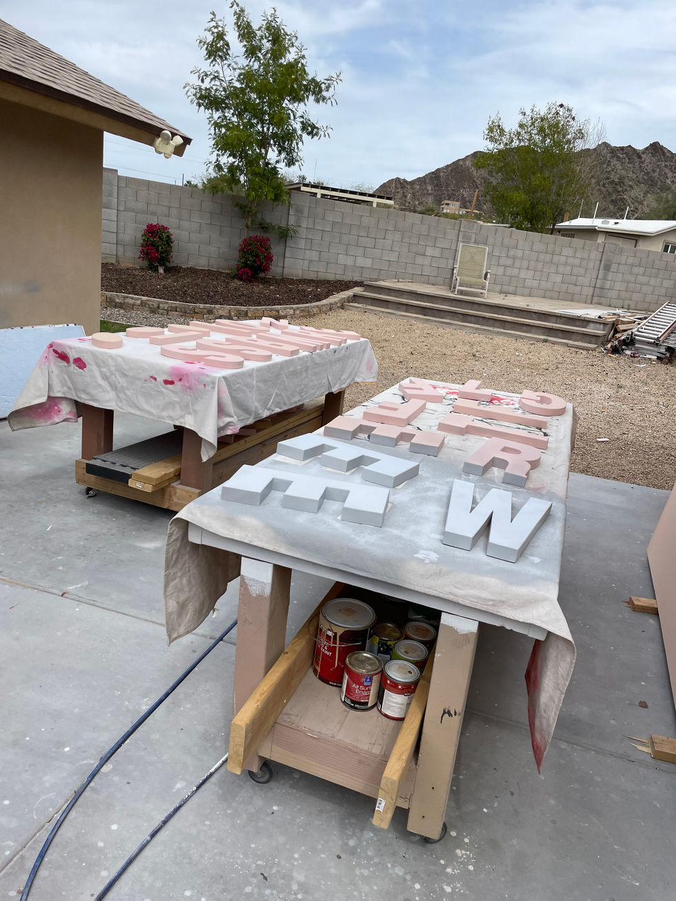 Cactus Flower Airbrushed Sign 2