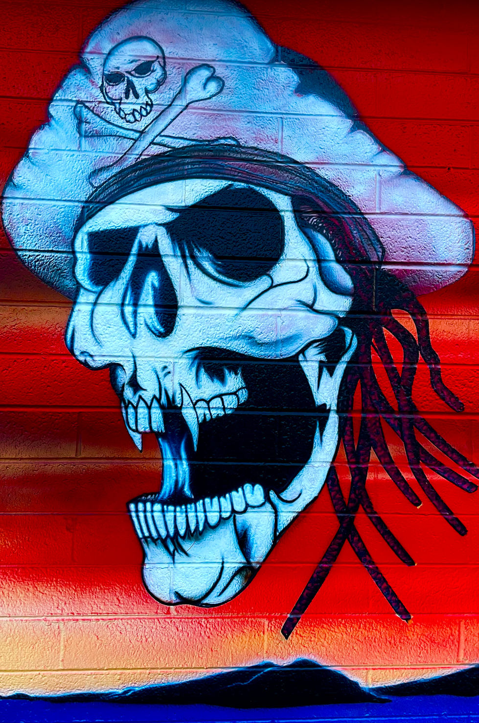 Pirate-Themed Wall Mural 4