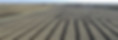 pattern tile.jpg